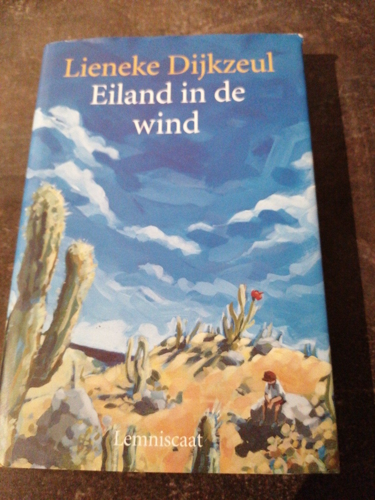 Eiland in de wind - Lieneke Dijkzeul, Gelezen, Non-fictie, Lieneke Dijkzeul, Ophalen of Verzenden