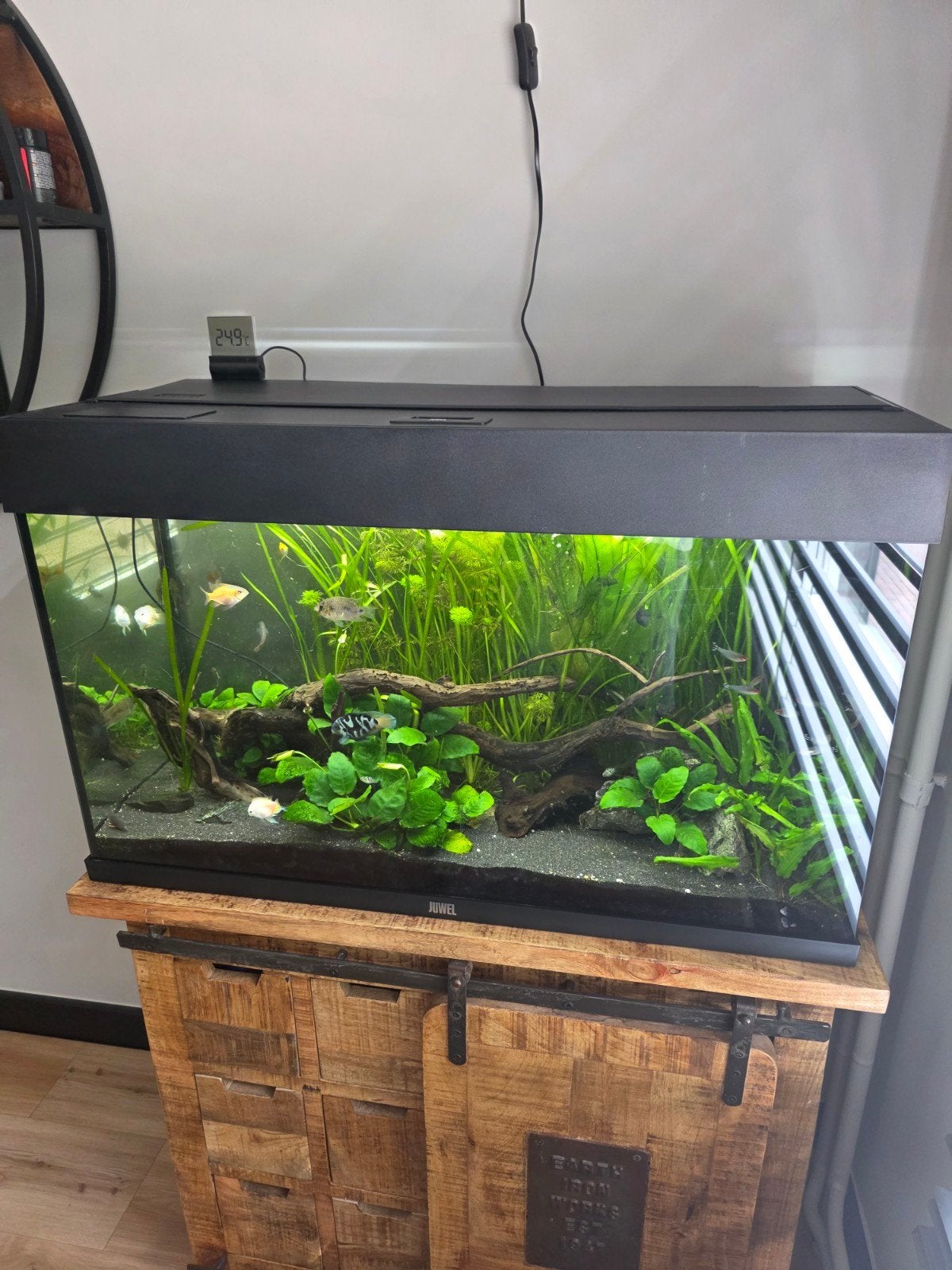 Te koop : compleet aquarium Rio led 125, Dieren en Toebehoren, Ophalen, Zo goed als nieuw, Gevuld zoetwateraquarium
