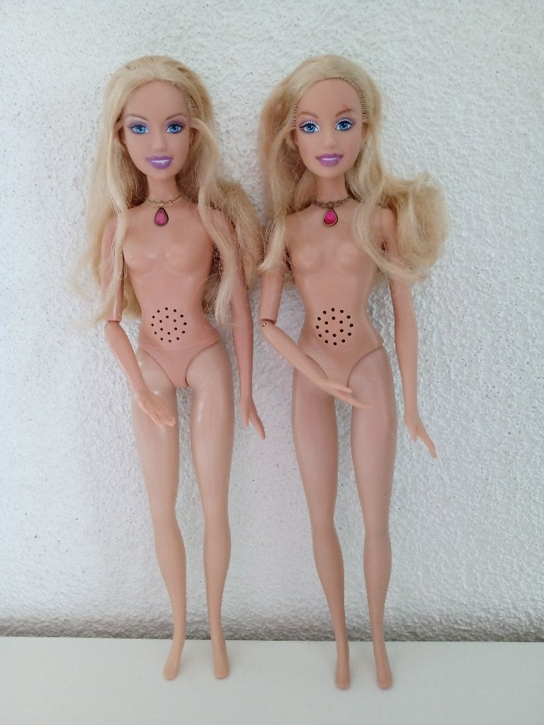2 ROSELLA Poppen uit de film Barbie als de Eilandprinses, Ophalen of Verzenden, Gebruikt, Pop