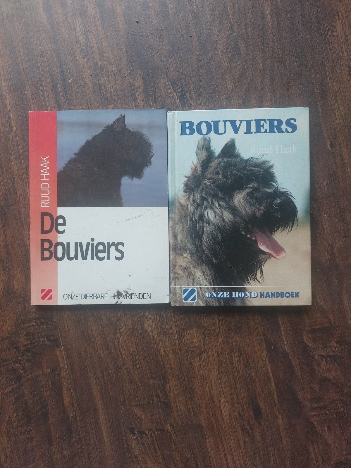 Boeken over Bouviers - Ruud Haak (2 stuks), Ophalen of Verzenden, Gelezen, Honden, Ruud Haak