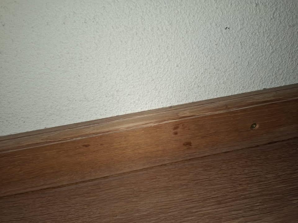 Massief eiken houten plinten, Ophalen, Gebruikt, Vloerdelen of -planken, 10 m² of meer