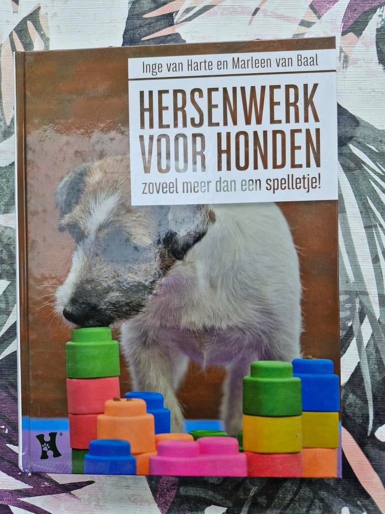 Hersenwerk voor Honden: Meer dan een spelletje!, Ophalen of Verzenden, Zo goed als nieuw, Honden, Inge van Harte en Marleen van Baal