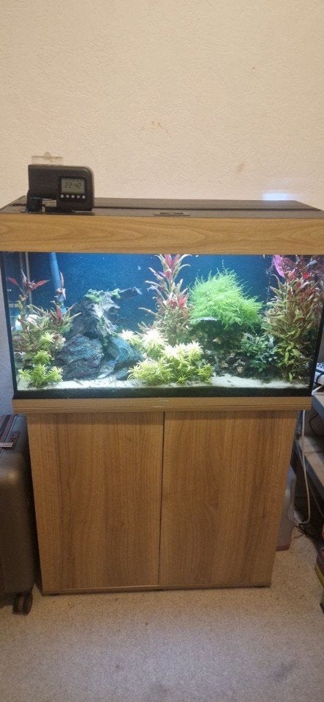 Juwel Rio 125 complete set, Ophalen, Inclusief deksel, Zo goed als nieuw, Leeg aquarium