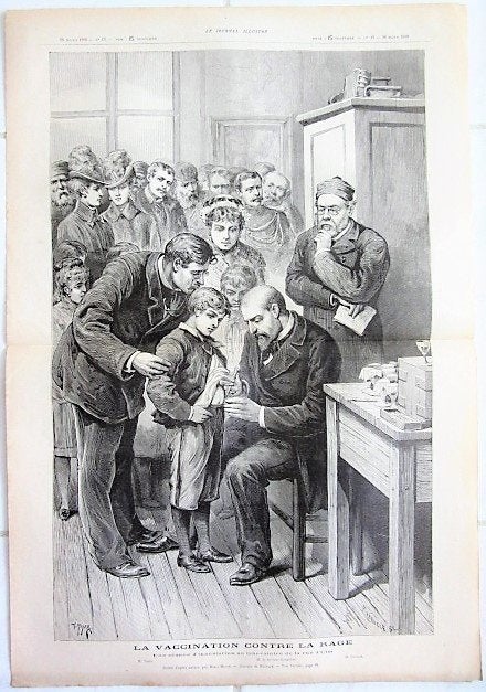 2 tekeningen gravures uit 1886 - arts - vaccinatie Pasteur, Antiek en Kunst, Ophalen of Verzenden