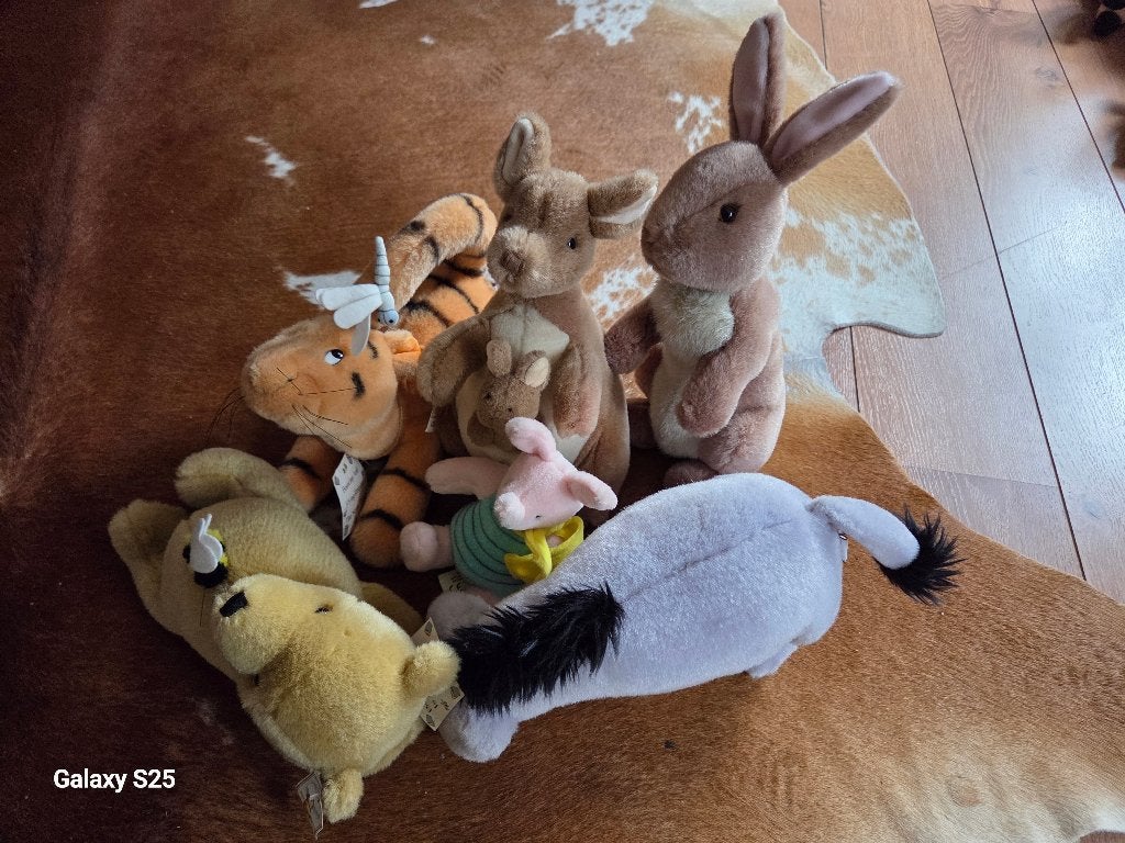 Winnie the Pooh, Ophalen of Verzenden, Zo goed als nieuw