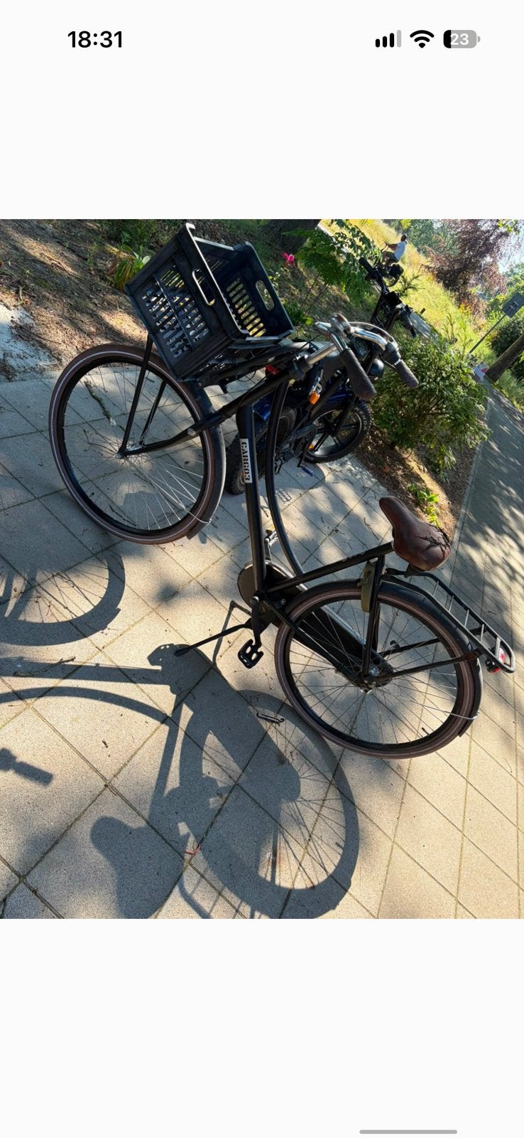 Degelijke en stevige damesfiets, Ophalen, Gebruikt, Terugtraprem, Versnellingen