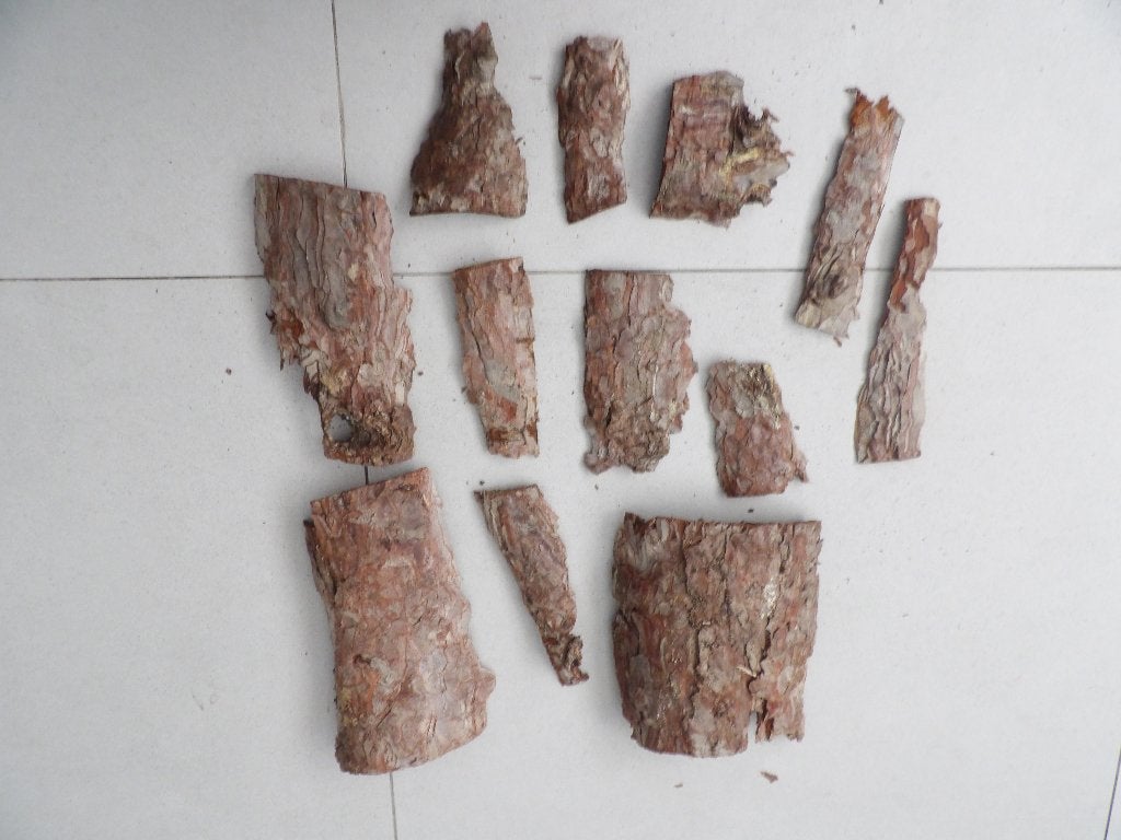 NIEUW 12 mooie droge stukken HOUTSCHORS ( 6 ), Ophalen of Verzenden, Nieuw
