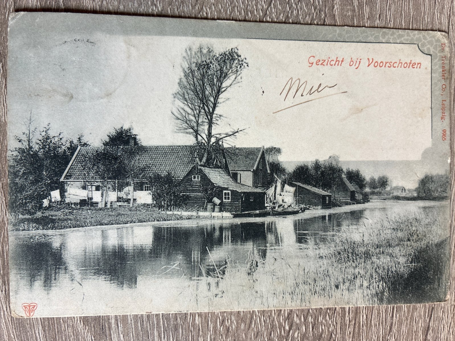 Oude ansichtkaart Gezicht bij Voorschoten, 1906, Verzamelen, Ophalen of Verzenden, Voor 1920, Gelopen, Zuid-Holland