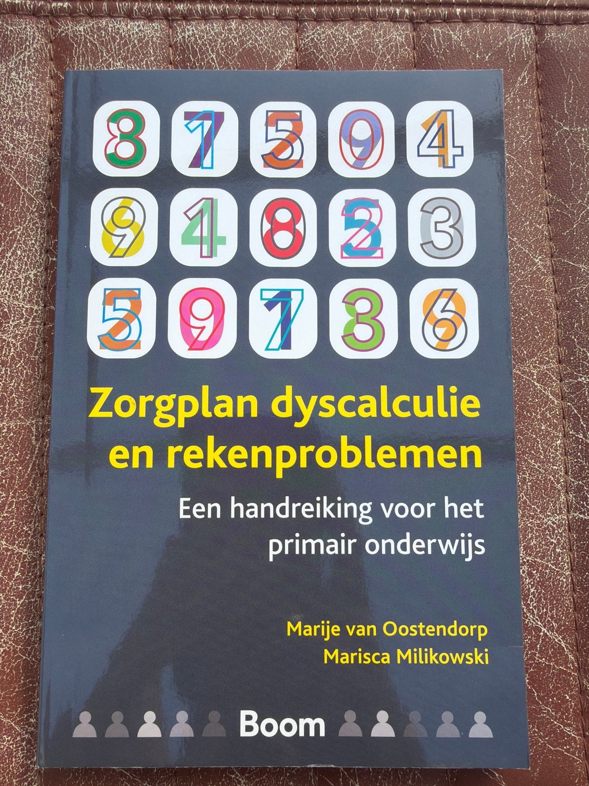 Zorgplan dyscalculie en rekenproblemen - Marije van Oostendo, Ophalen of Verzenden, Gamma, Gelezen, Overige niveaus
