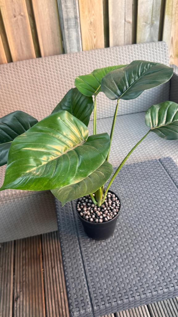 Groene kunst kamerplant in pot, Ophalen, Overige soorten, Halfschaduw, In pot