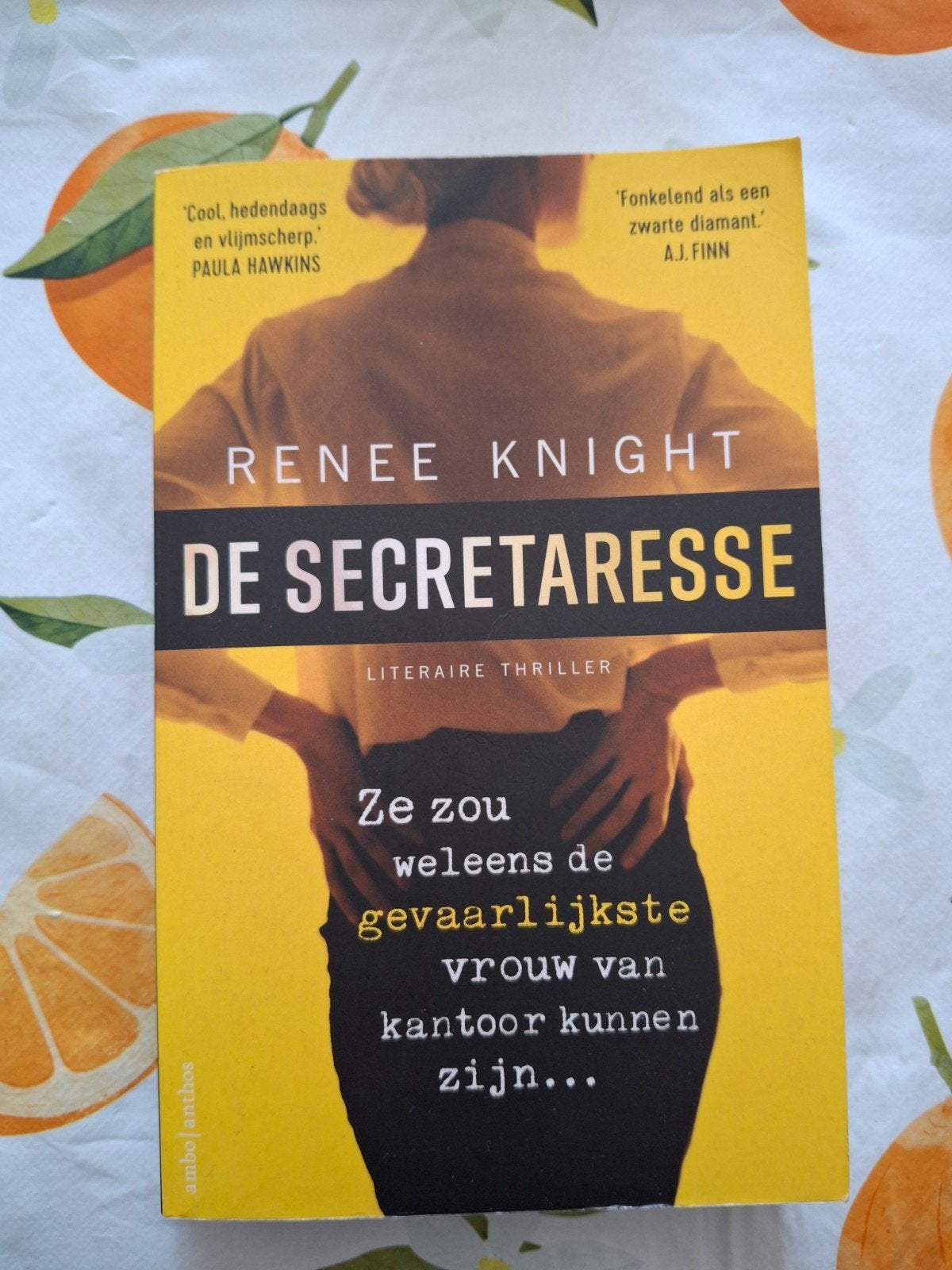 De secretaresse Renee Knight literaire thriller, Ophalen of Verzenden, Gelezen, Renee Knight