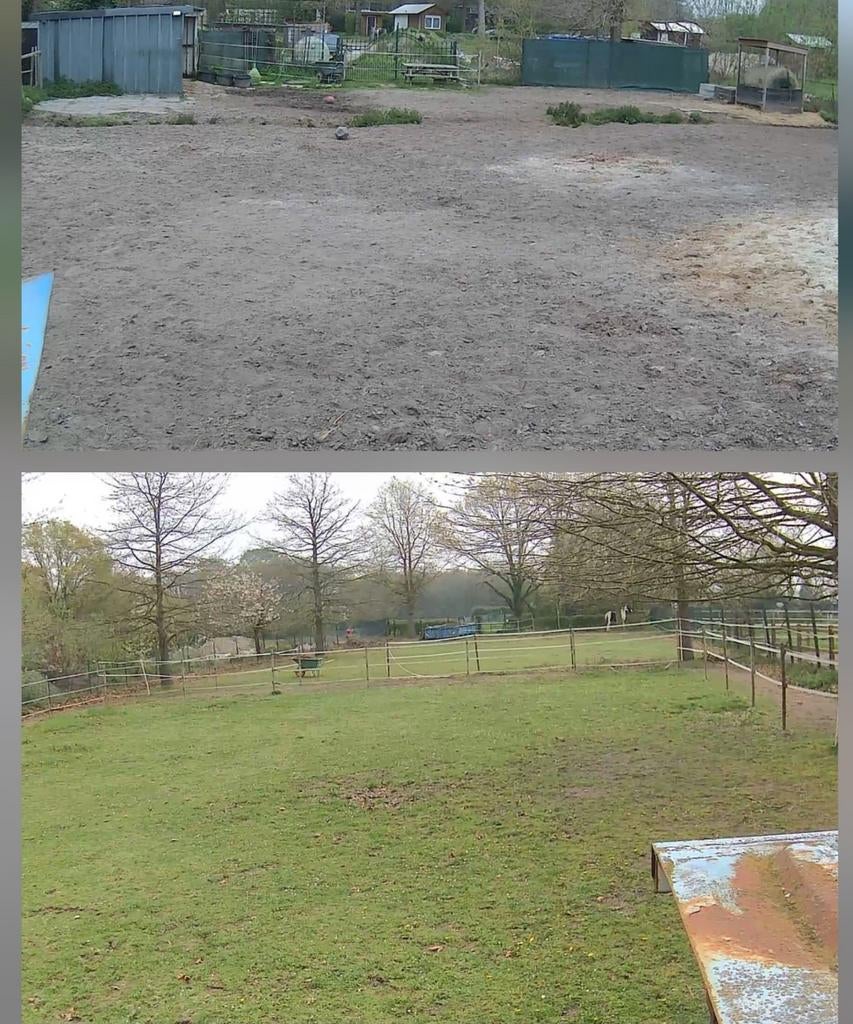 24/7 paddock met weides. Plek voor 1 pony/paard
