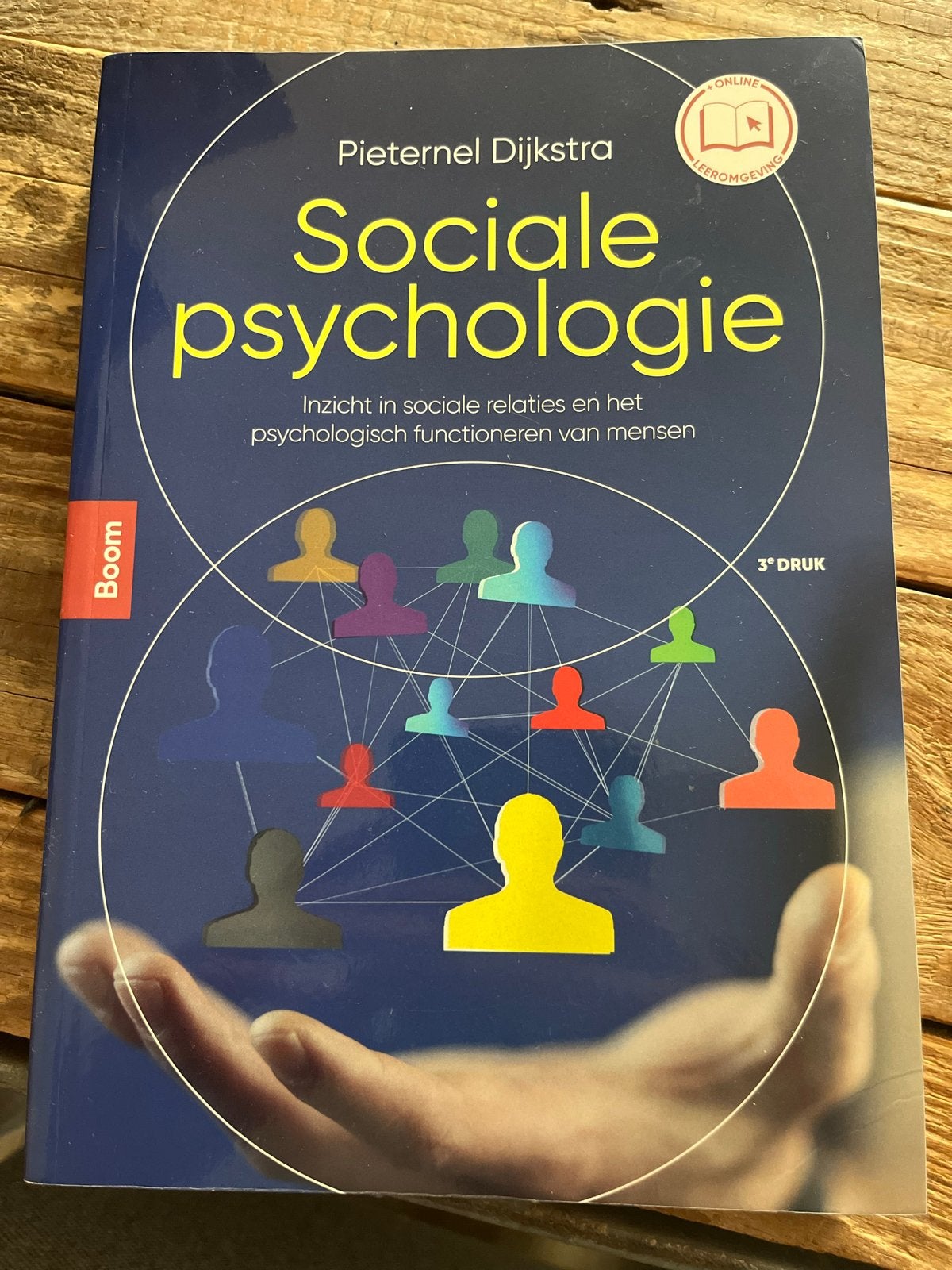Sociale Psychologie - Inzicht in relaties en functioneren, Ophalen of Verzenden, Zo goed als nieuw, Sociale psychologie