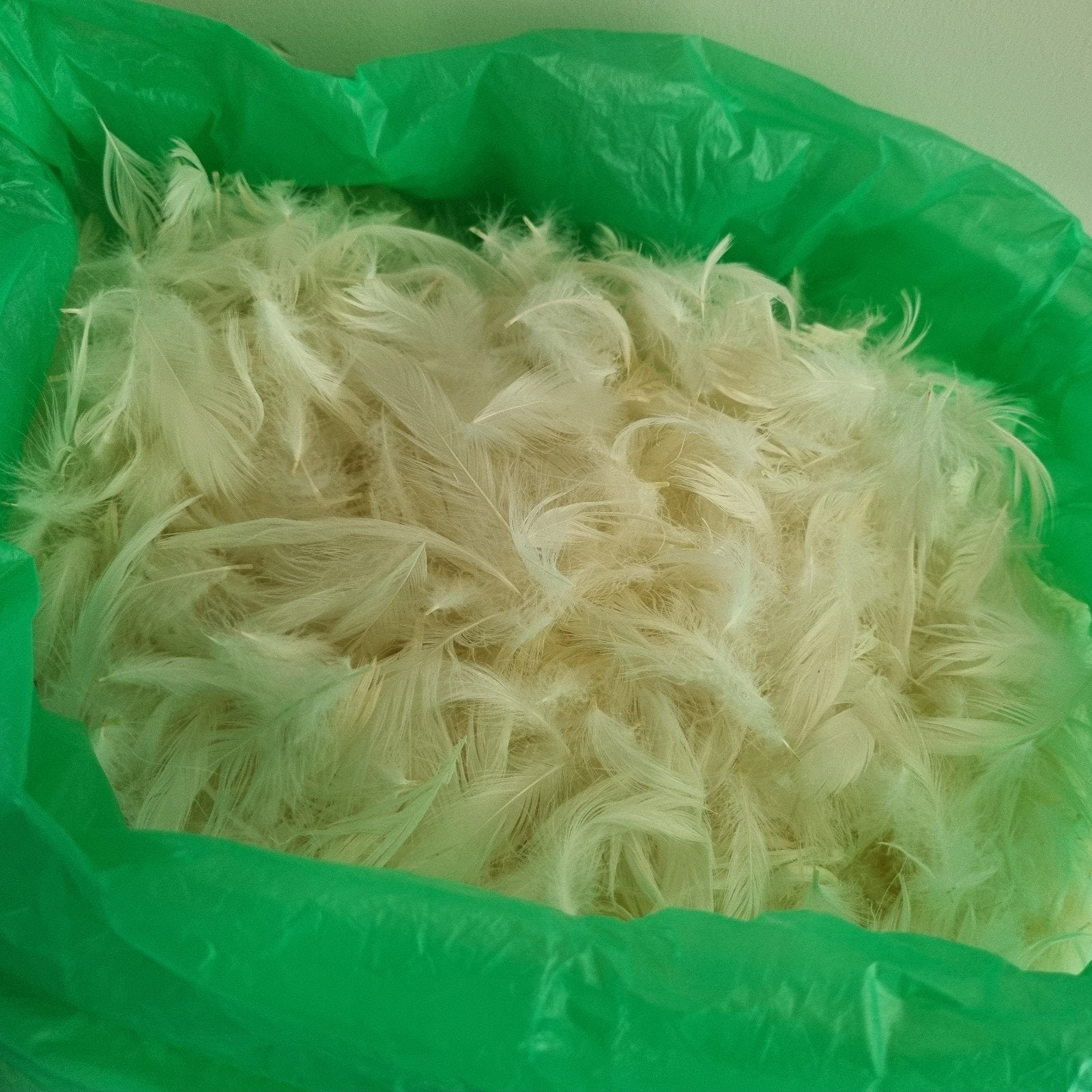 Grote zak met witte veren - ideaal voor knutselprojecten!, Overige thema's, Ophalen of Verzenden, Natuurlijk materiaal, Overige merken