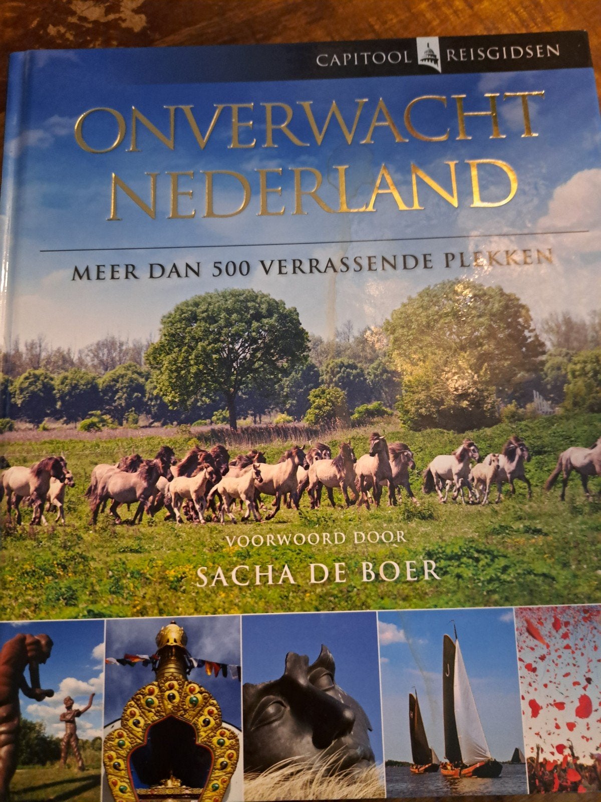 Onverwacht Nederland: Meer dan 500 verrassende plekken, Boeken, Reisgidsen, Capitool, Ophalen of Verzenden, Zo goed als nieuw