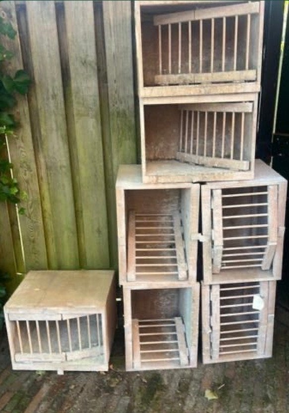Houten duivenlokken / duivencellen (4 losse + 4 aan elkaar), Ophalen, Hout, Vogelkooi
