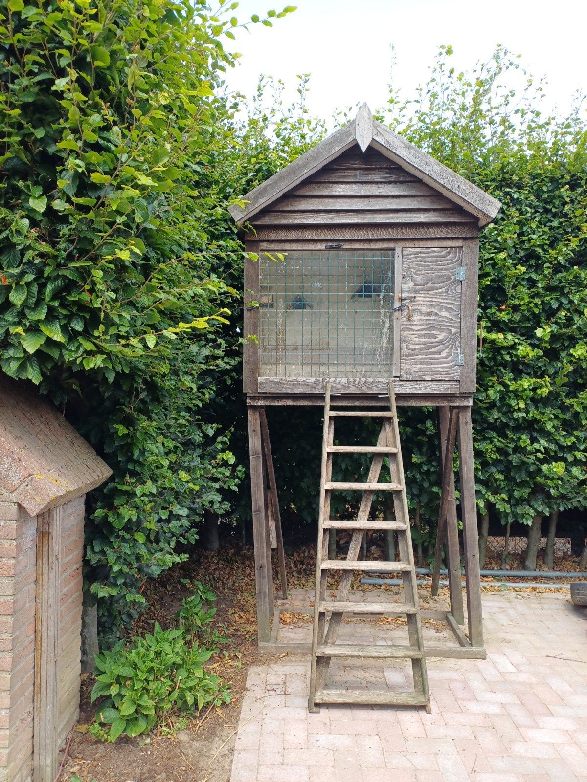te koop duivenhok, Ophalen of Verzenden, Gebruikt, Hout, Vogelkooi
