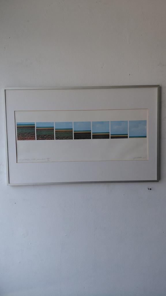 Ger Dekkers - Tulpenvelden Flevoland (Foto), Antiek en Kunst, Ophalen of Verzenden