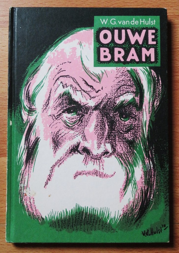W.G. van de Hulst: Ouwe Bram, Ophalen of Verzenden, Gelezen