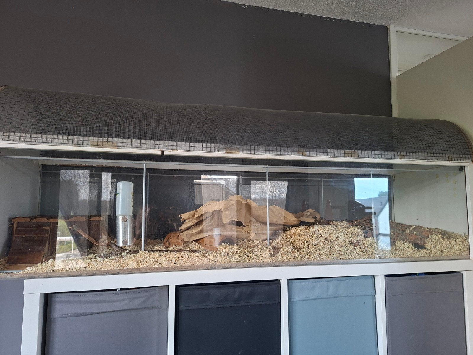 Knaagdierverblijf ikea detolf, Kooi, Hamster, Ophalen, Minder dan 60 cm