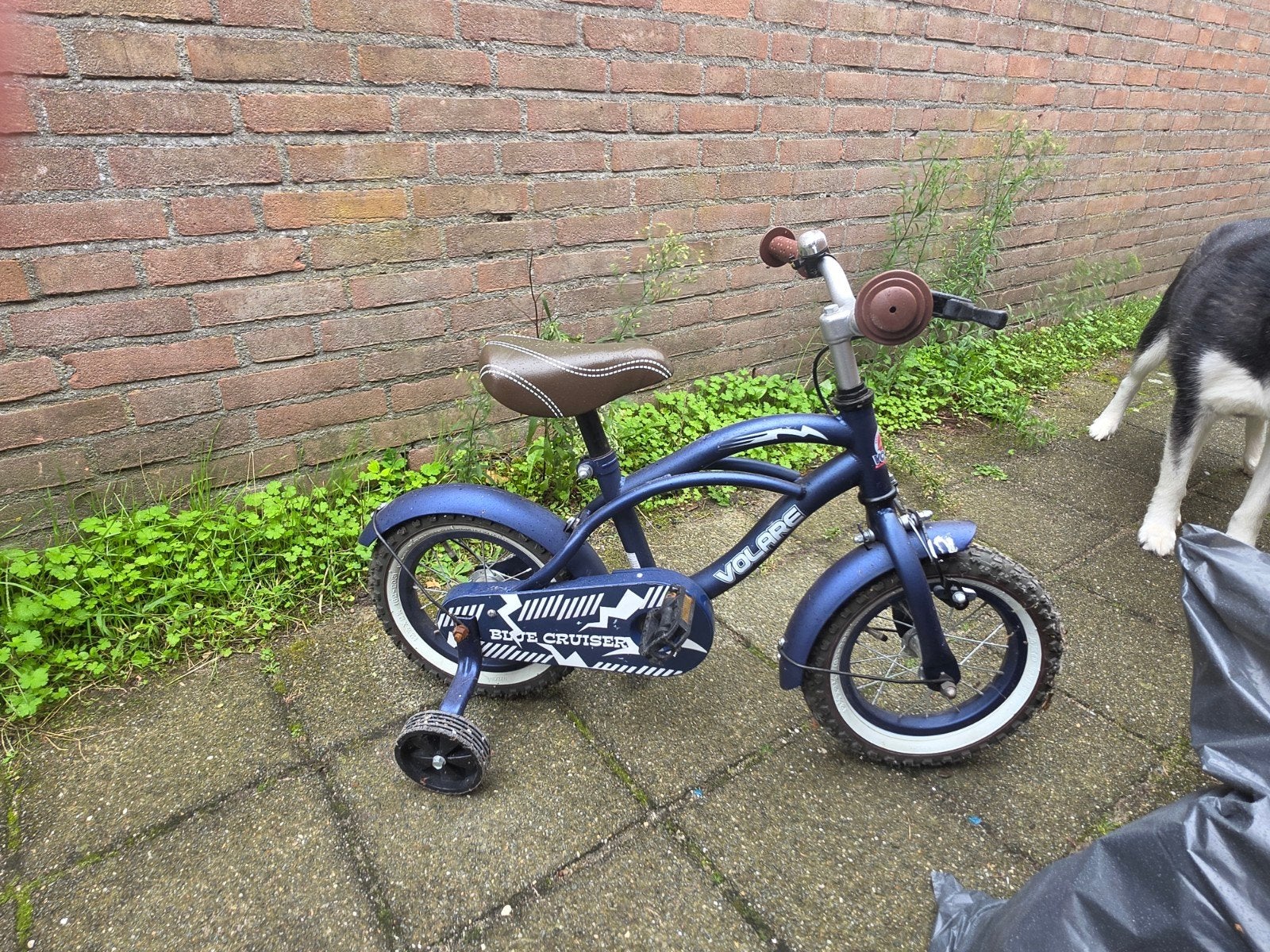 Volare Blue Cruiser kinderfiets 12 inch met zijwieltjes, Ophalen