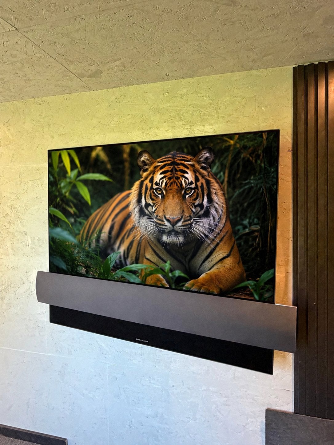 B&O Beovision Eclipse 55 televisie 4K Bang&Olufsen Oled, Ophalen, Zo goed als nieuw, 100 cm of meer, Overige merken