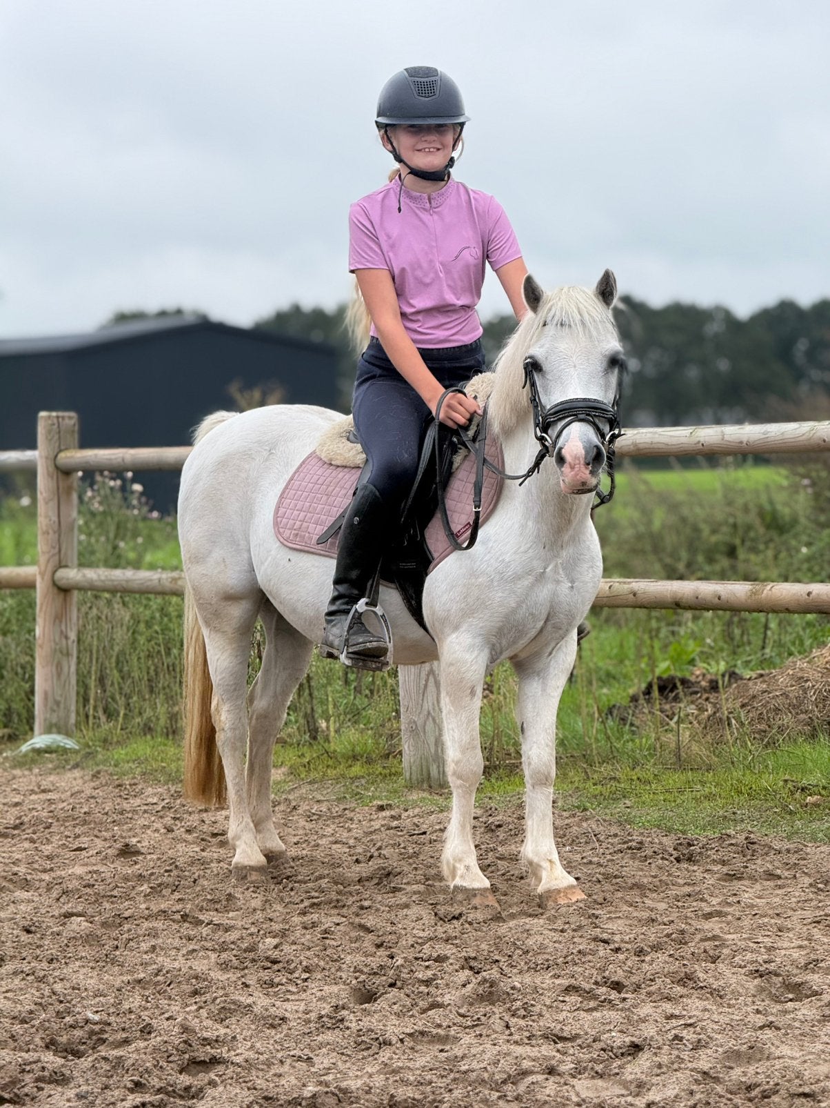 NIEUW Super welsh B kinderpony, Merrie, B pony (1.17m tot 1.27m), 11 jaar of ouder