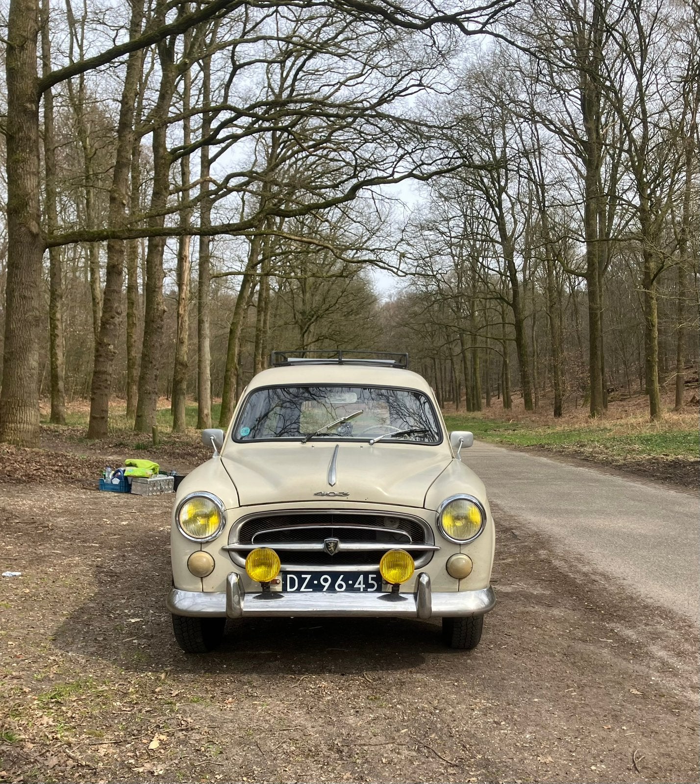Peugeot 403 commerciale, Achterwielaandrijving, Beige, Handgeschakeld, Particulier