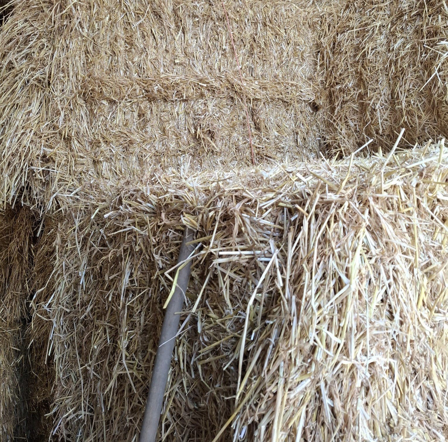 Te koop gerste- en tarwe stro, Dieren en Toebehoren, Ophalen of Verzenden, Vee