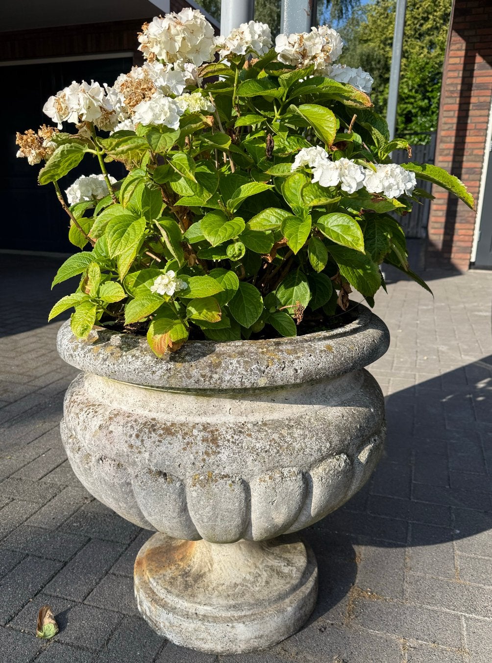 Grote stenen plantenbak met hortensia, Tuin en Terras, Bloempotten, Ophalen, Rond, 40 cm of meer, Tuin