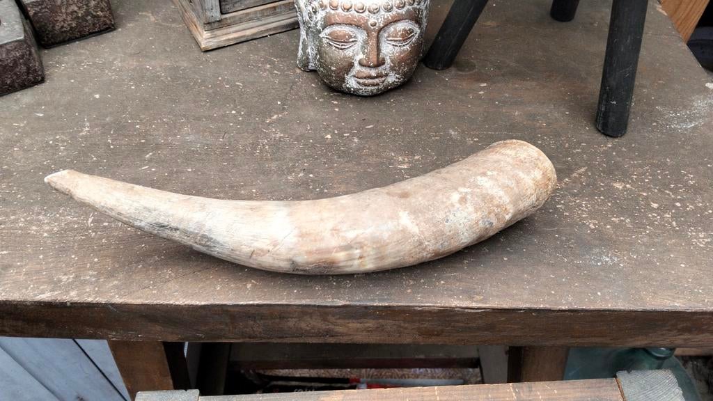 Brocante decoratieve hoorn (1), Ophalen of Verzenden