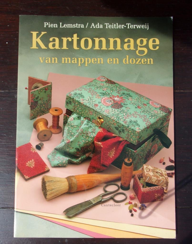 Pien Lemstra - Kartonnage van mappen en dozen, Ophalen of Verzenden, Gelezen, Overige onderwerpen