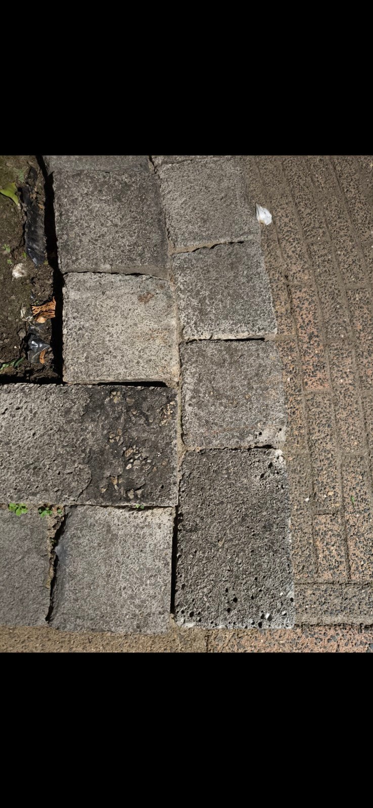 76 Grote Kinderkoppen Gratis Ophalen, Tuin en Terras, Ophalen, Gebruikt, Overige typen, 5 tot 10 m²