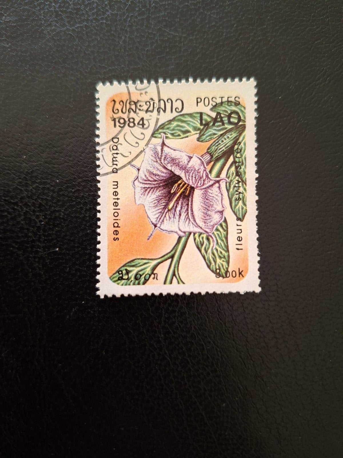 Bloemen.  Laos., Ophalen of Verzenden, Dier of Natuur