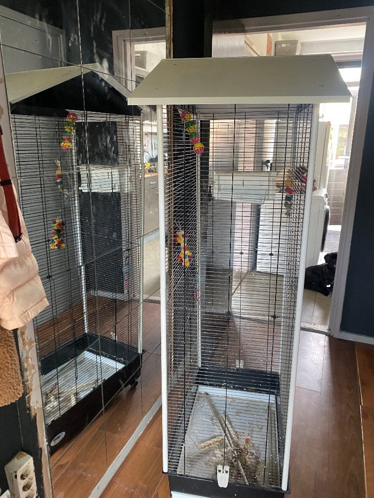 Vogelkooi, Dieren en Toebehoren, Ophalen, Gebruikt, Metaal, Vogelkooi
