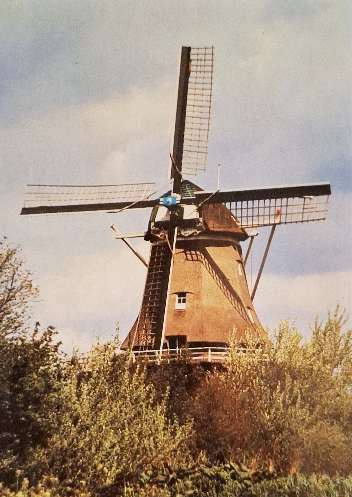 Erica - Korenmolen "De Heidebloem" - 1983, Ophalen of Verzenden, 1980 tot heden, Ongelopen, Drenthe