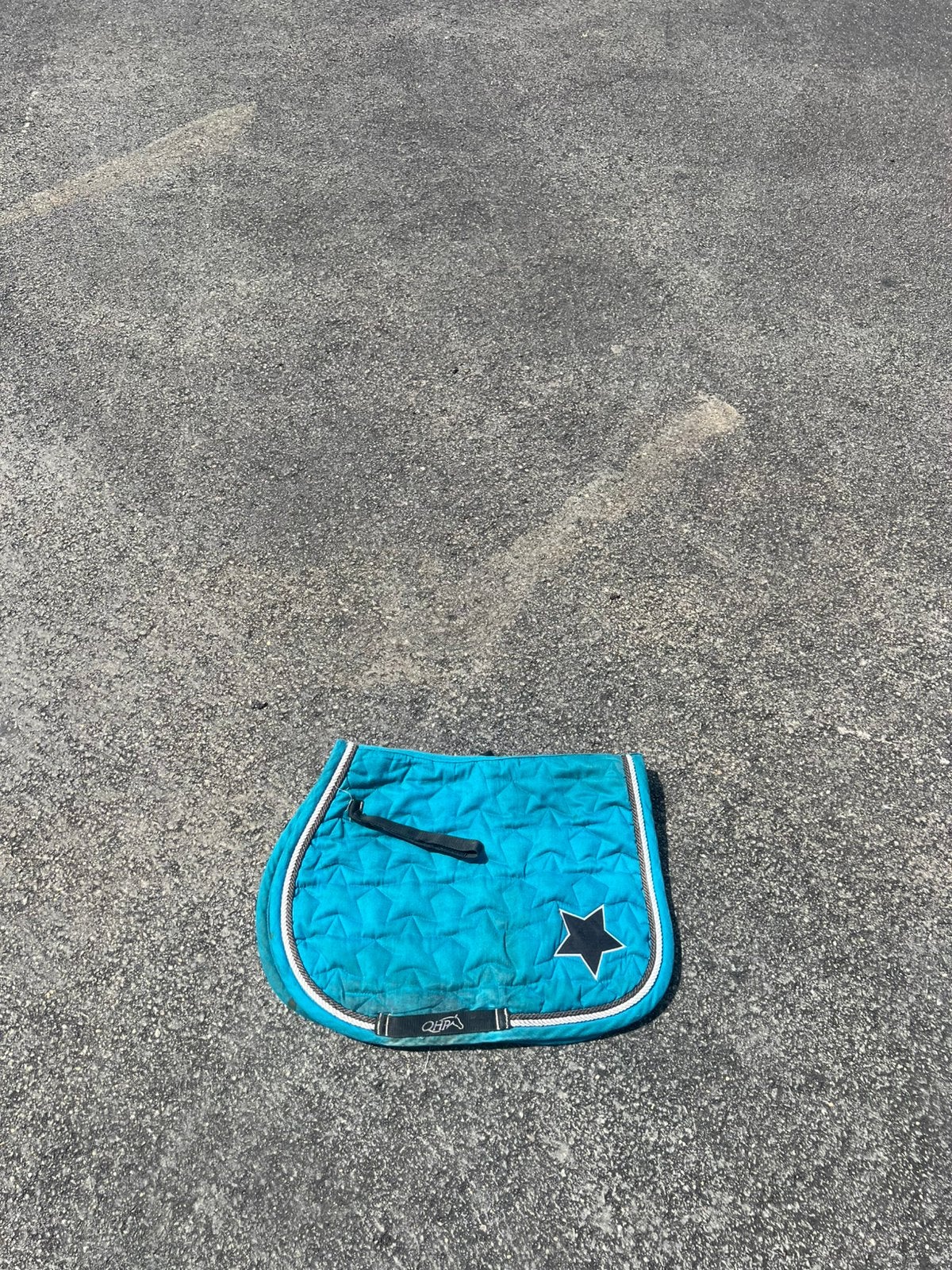 blauw qhp dekje, Dieren en Toebehoren, Gebruikt, Shetlander/Mini, QHP, Ophalen of Verzenden