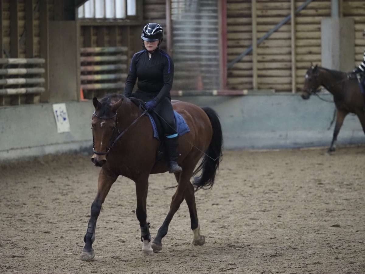 bijrijd paard/buitenrit maatje gezocht, Ophalen of Verzenden
