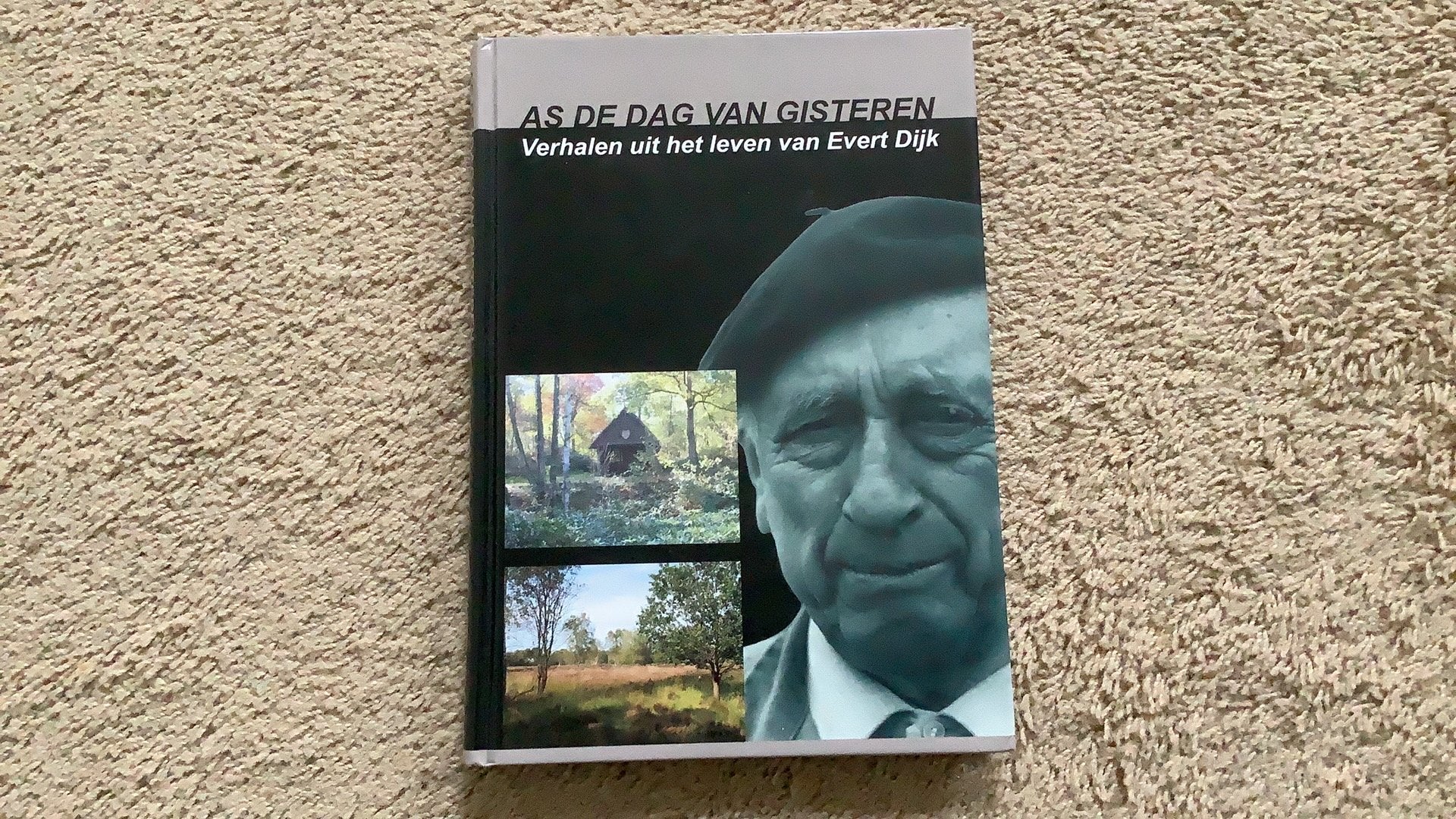 Evert Dijk, As de dag van gisteren. Verhalen., Ophalen of Verzenden, Zo goed als nieuw, Overijssel