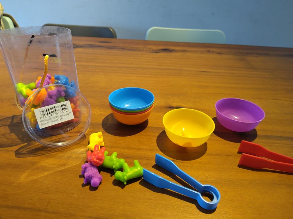 Montessori soorteerspel voor peuters, Ophalen of Verzenden, Gebruikt