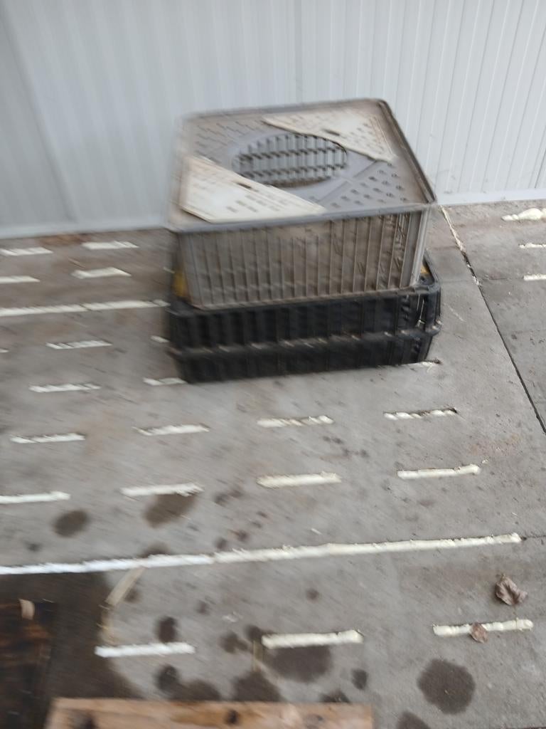 Pluimveekratten, Ophalen, Drinken en Voederen