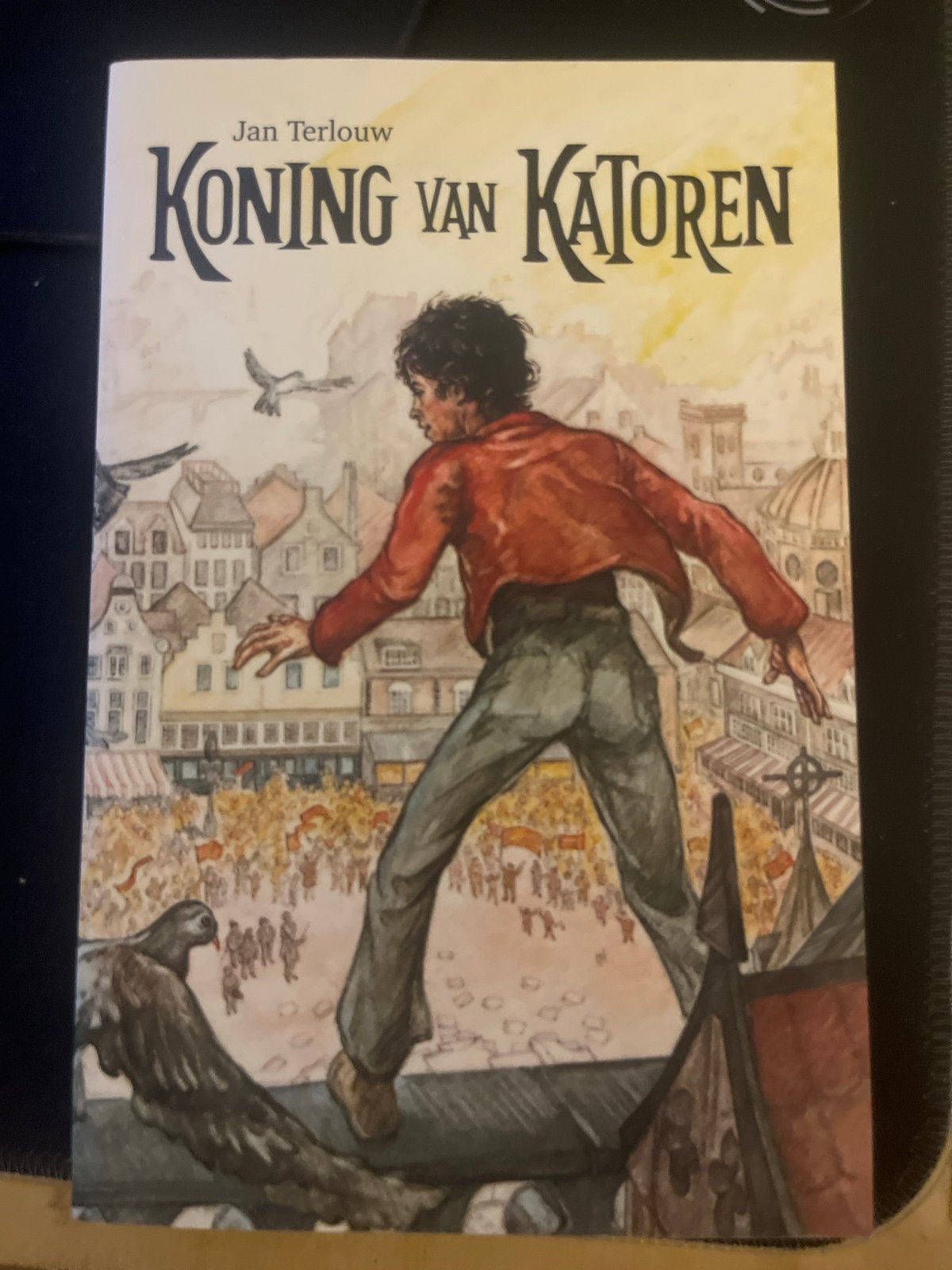 Koning van Katoren - Jan Terlouw (Goede staat), Ophalen of Verzenden, Gelezen, Fictie