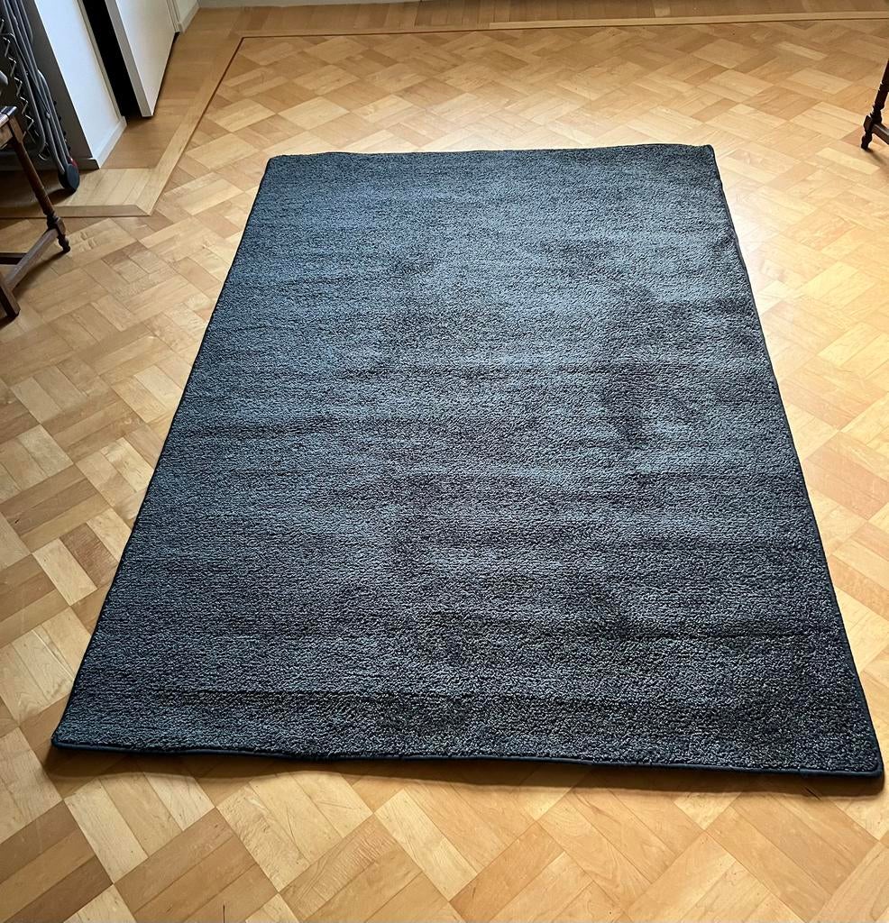 Vloerkleed, 240x160, antraciet grijs, Ophalen, Gebruikt, 200 cm of meer, Effen