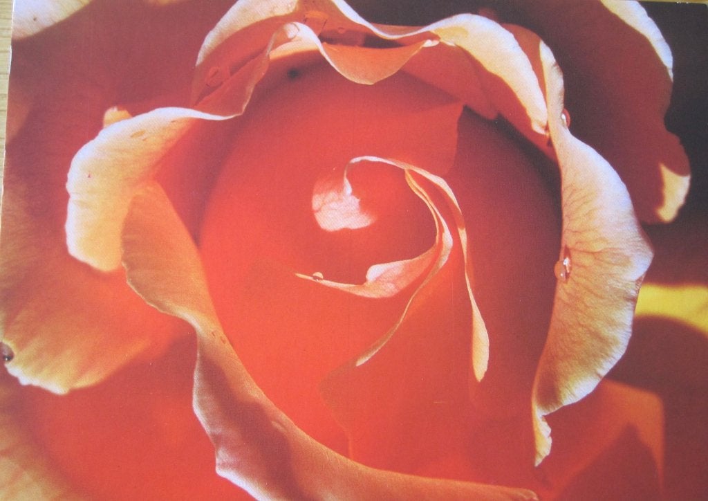 Voor het kind - bloemenhart van een roos - nieuw, Verzenden, 1980 tot heden, Ongelopen, Overige thema's