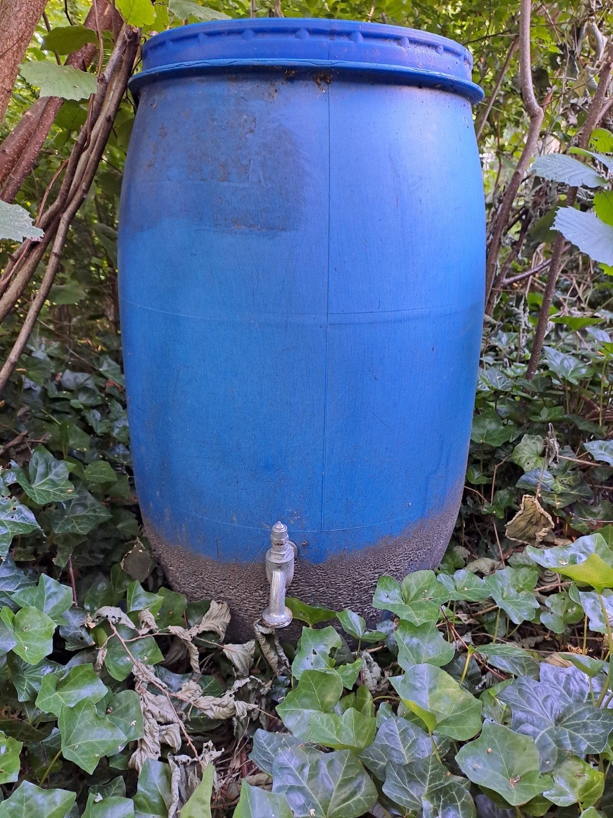 Gratis regenton, 150 liter of meer, Ophalen, Gebruikt, Kunststof