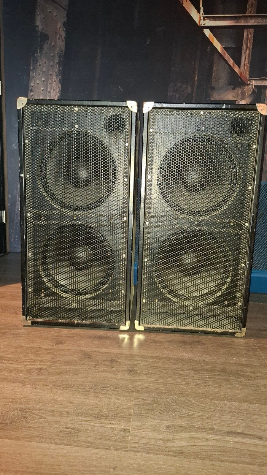 2x 12 inch bas kasten speakers boxen, Ophalen, Gebruikt, Audio