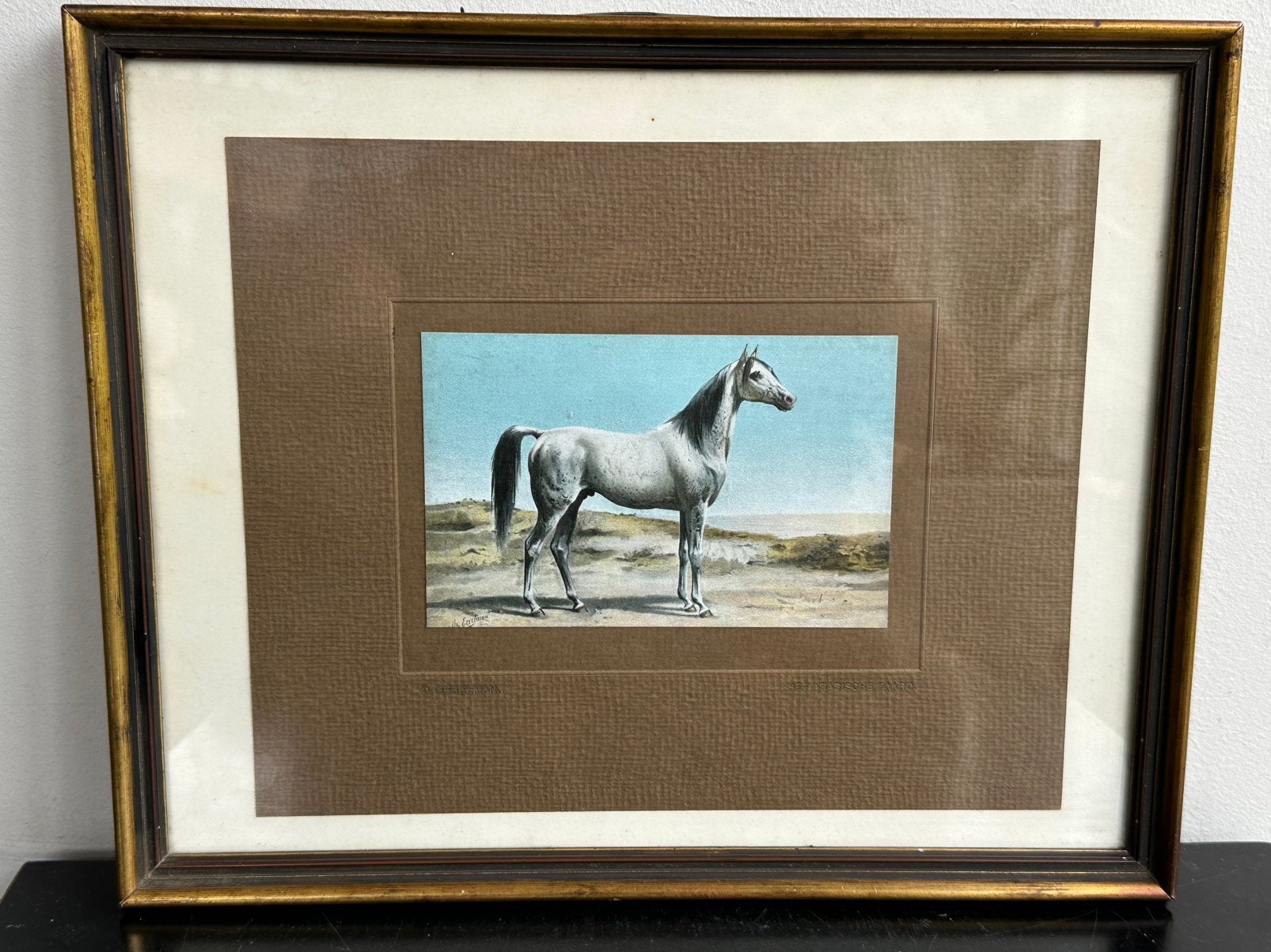 Oude Paarden print Arabisch Paard O Eerelman, Ophalen of Verzenden