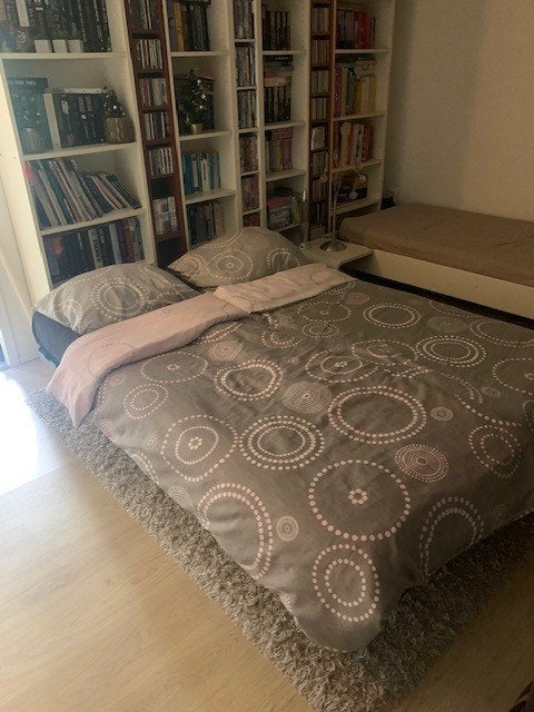 Nette slaapbank 120 x 190 cm, Huis en Inrichting, Slaapkamer | Slaapbanken, Ophalen, Gebruikt, 190 cm of minder, Twijfelaar