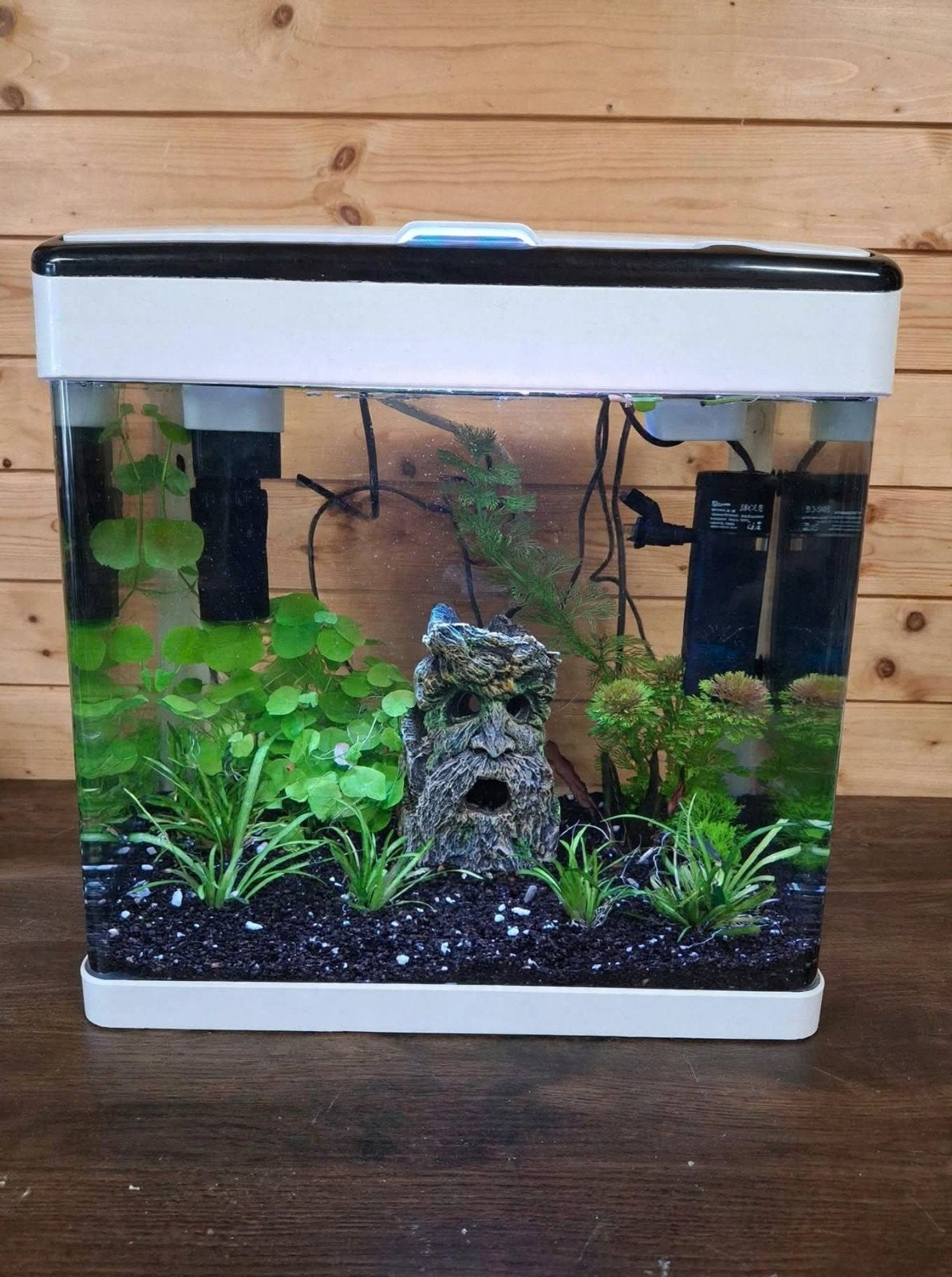 SuperFish aquarium Panorama wit 35 L, Ophalen, Superfish, Inclusief deksel, Gevuld zoetwateraquarium