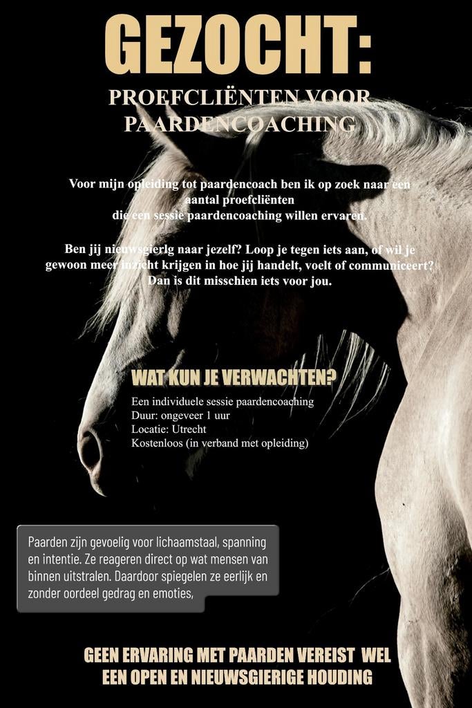 Paarden coaching - gratis, Dieren en Toebehoren, Dierenvoeding, Ophalen of Verzenden